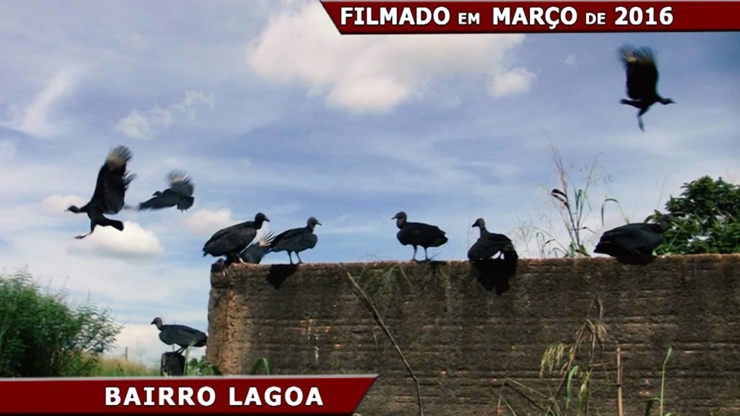 Porto Velho: Prefeitura Abandona Ruas e Bairros da Capital de Rondônia.