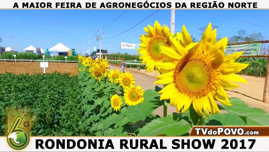 A MAIOR FEIRA DE AGRONEGÓCIO DA REGIÃO NORTE | TVdopovo