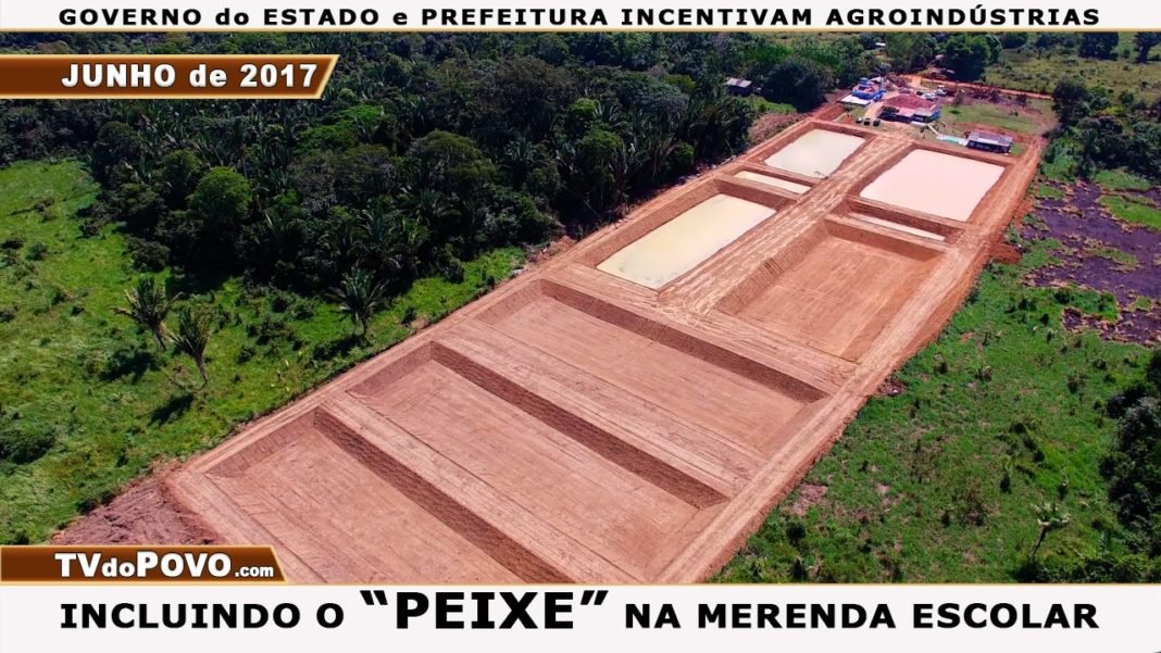 SOMOS O MAIOR PRODUTOR DE PEIXE DE ÁGUA DOCE DO BRASIL.