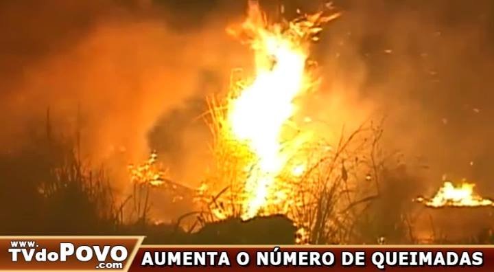 QUEIMADAS EM RONDÔNIA