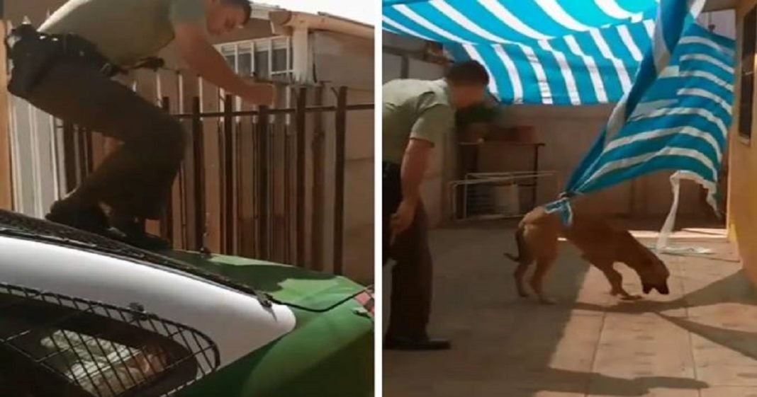 Policial ganha “abraço” de cachorro após resgatá-lo e vídeo chama atenção