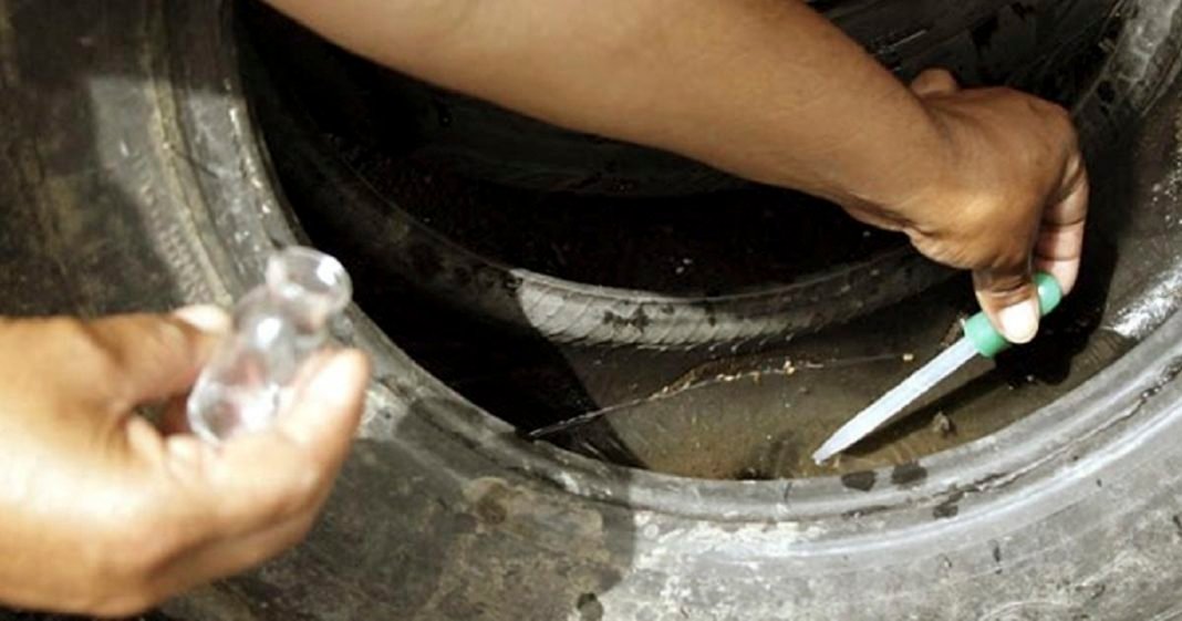 Cresce em 264% o número de casos de dengue no país