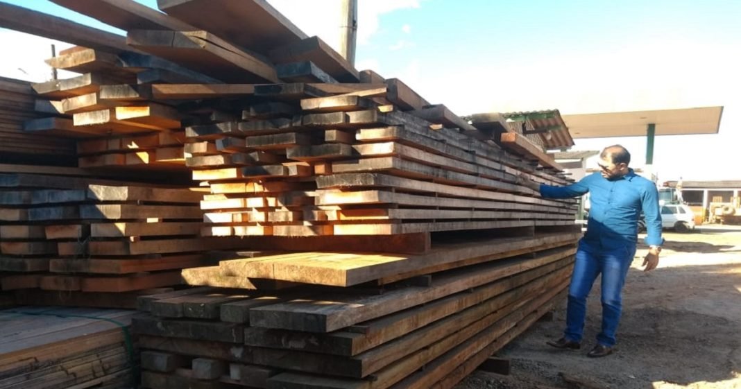 Madeiras apreendidas são doadas para órgãos públicos estaduais e municipais