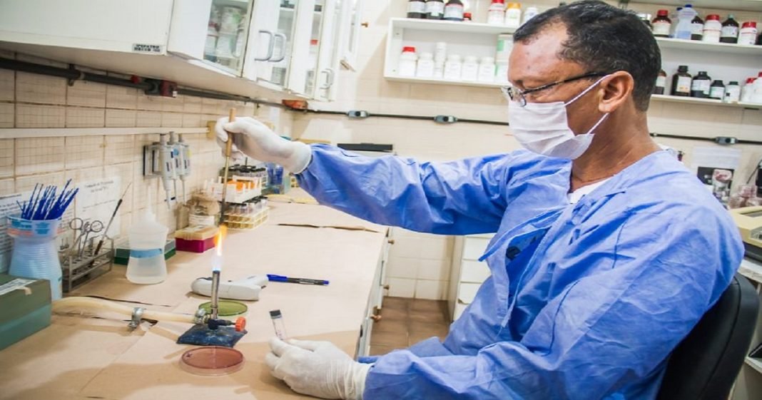 Através de incentivos, pesquisadores estudam biodiversidade e até possibilidade de combate ao mosquito Aedes aegipty