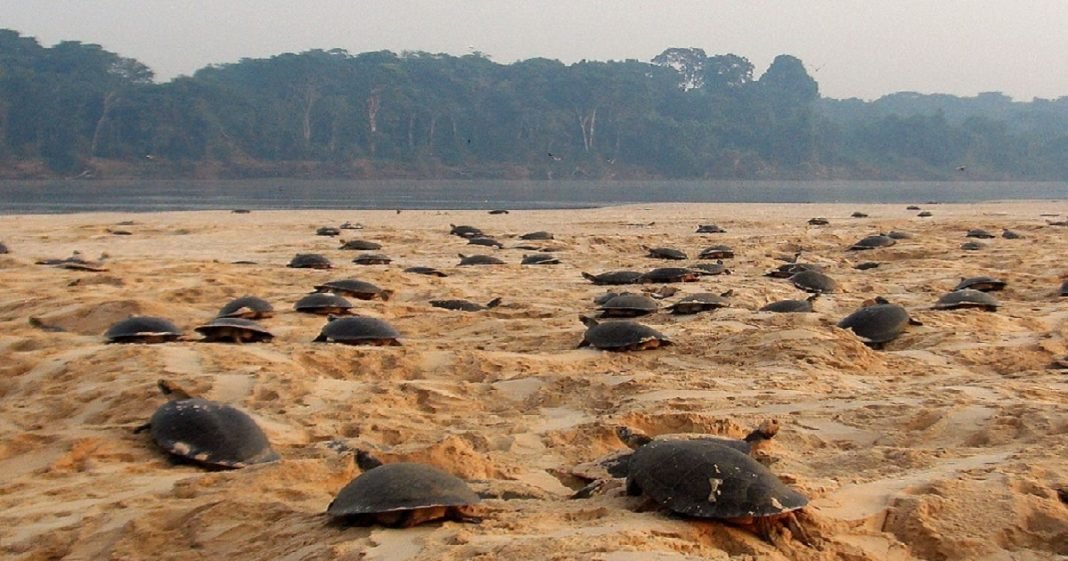 Setur aponta calendário turístico 2019 com informações de eventos e festas de todos os municípios de Rondônia