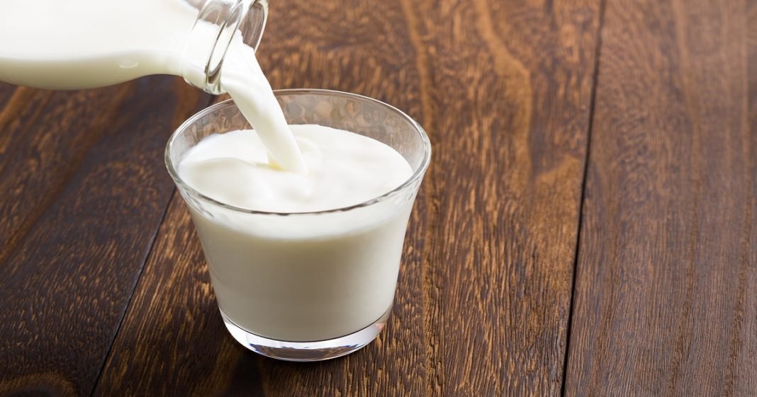 Ministério alerta para perigos do consumo de leite cru