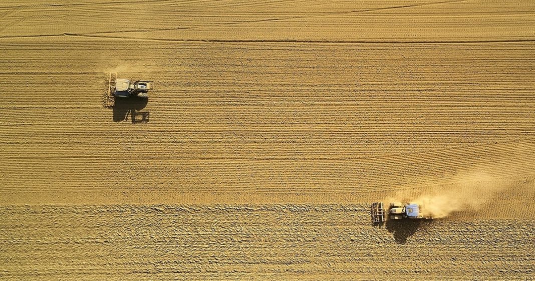Rondônia inicia vazio sanitário em mais de 300 mil hectares de área de soja