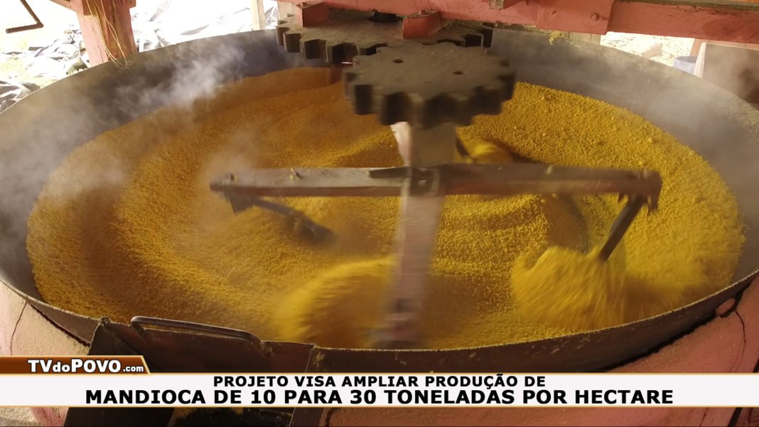 Produtores Rurais do REASSENTAMENTO SÃO DOMINGOS em Porto Velho Recebem Incentivos Para MELHORAMENTO do CULTIVO da MANDIOCA