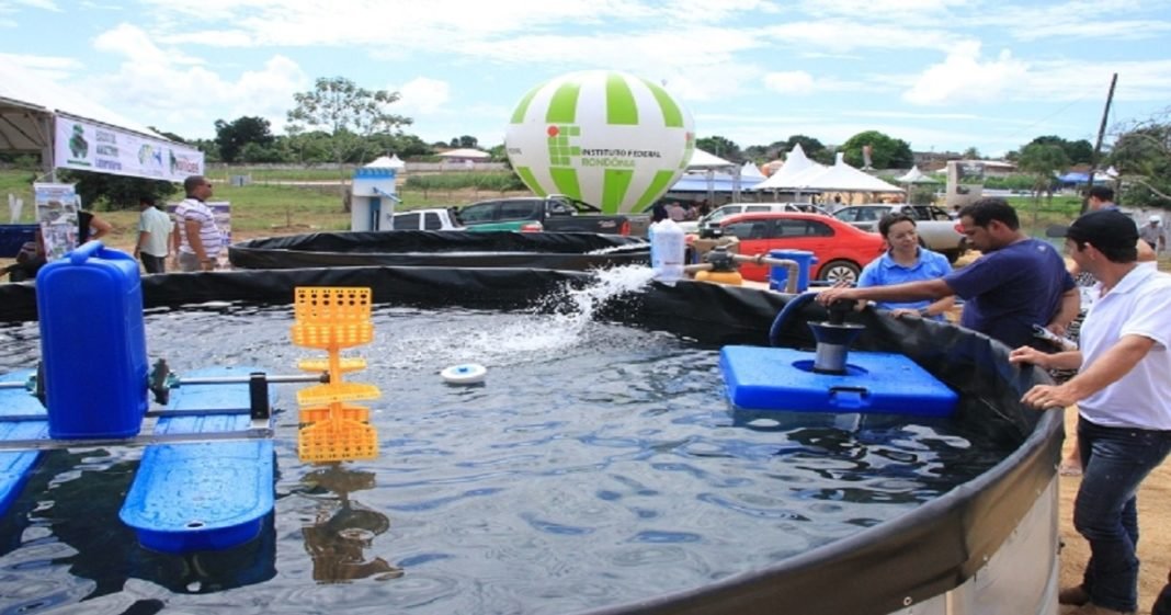 A migração da piscicultura familiar para uma piscicultura tecnificada em Rondônia