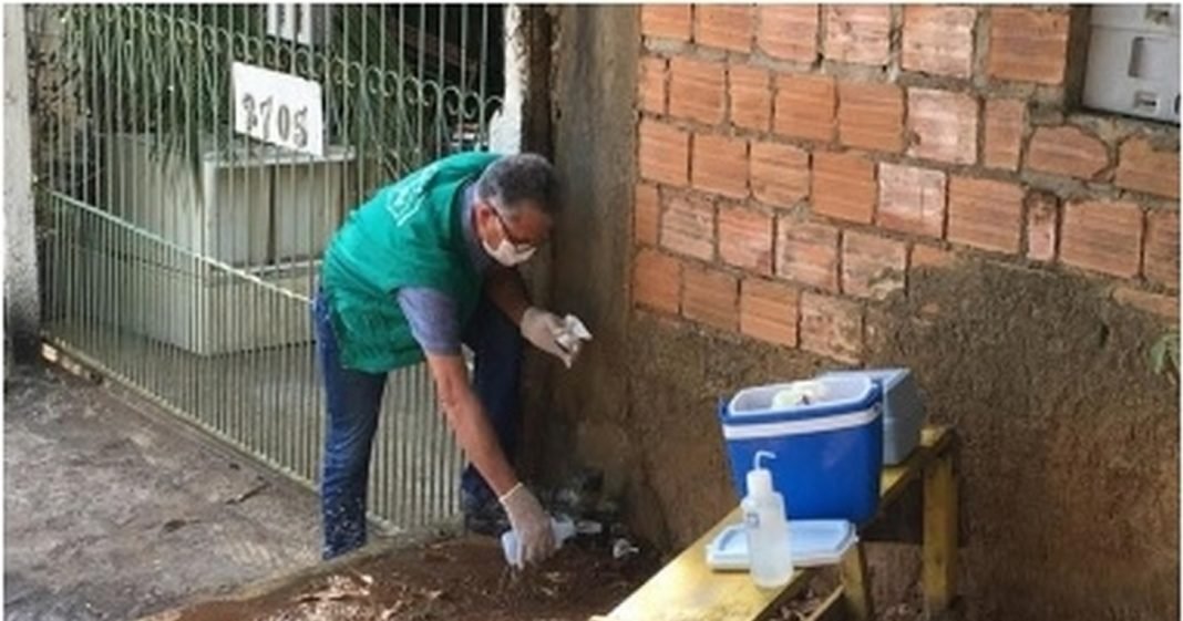 Pesquisa revela que 93% dos poços escavados possuem água contaminada em Ariquemes, RO