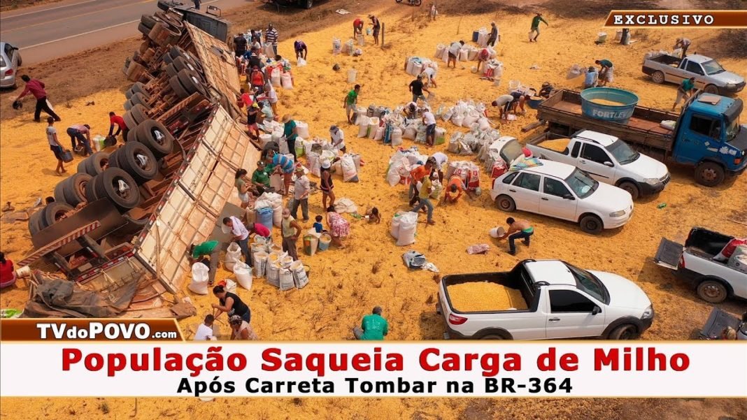 VÍDEO: População SAQUEIA CARGA de MILHO Após Carreta Tombar na BR-364