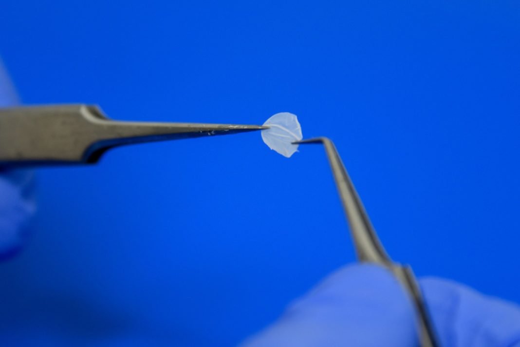 Primeiro laboratório de produção de pele humana para testes do Brasil é inaugurado no Rio