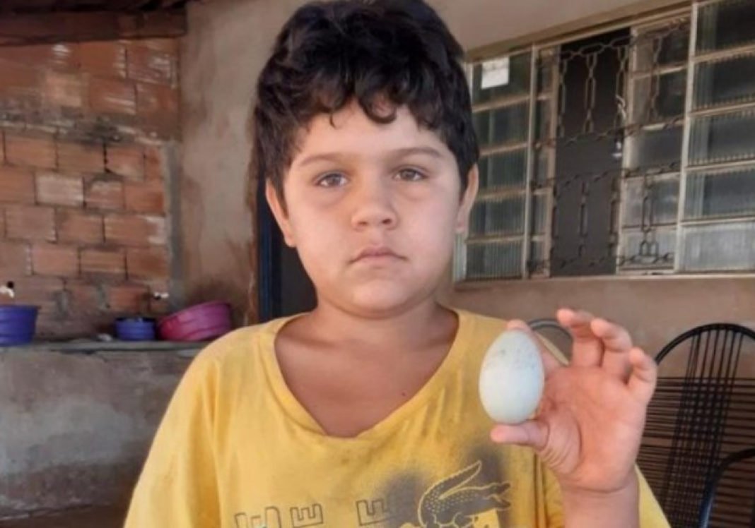 Mesmo sem Quase Nada para Comer em Casa, menino Doa Ovo para Ajudar Abrigo de Idosos em Caçu