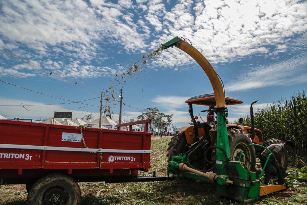 Projeto de Lei do governo do Estado impulsionará produção de leite em Rondônia