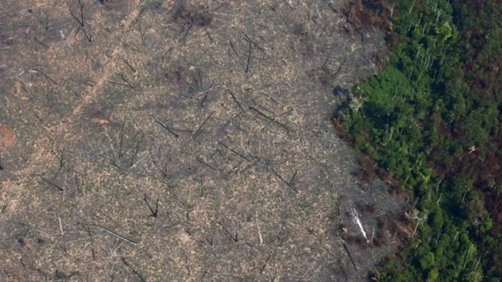 Área com alerta de desmatamento na Amazônia sobe 85% em 2019 ante 2018, segundo o Inpe