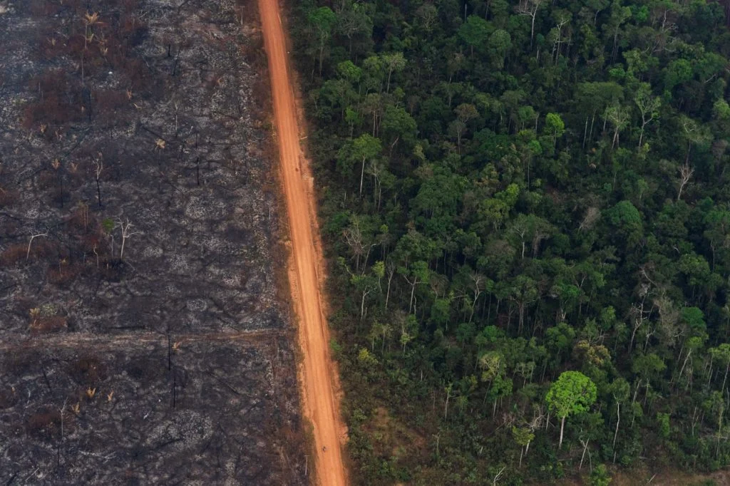 Polícia Ambiental de RO aplica quase R$ 100 milhões em multas em 2019