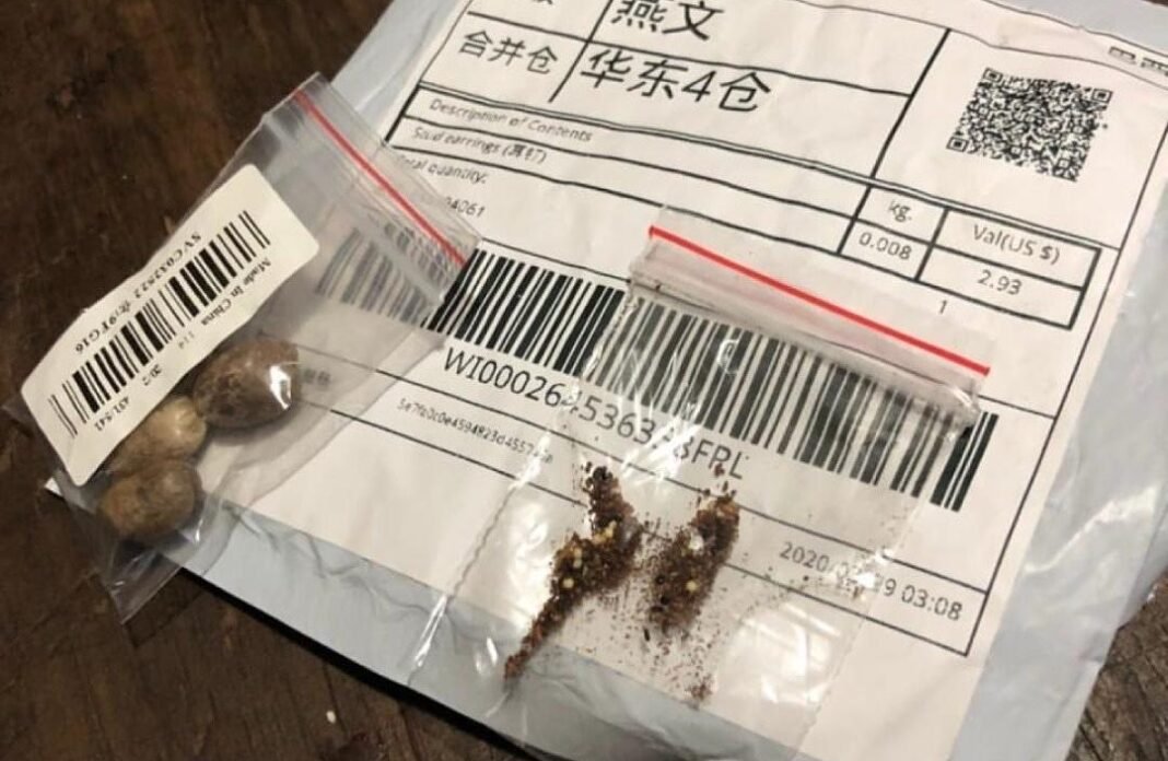 China nega envio de sementes misteriosas ao Brasil e diz que está disposta a cooperar com investigação