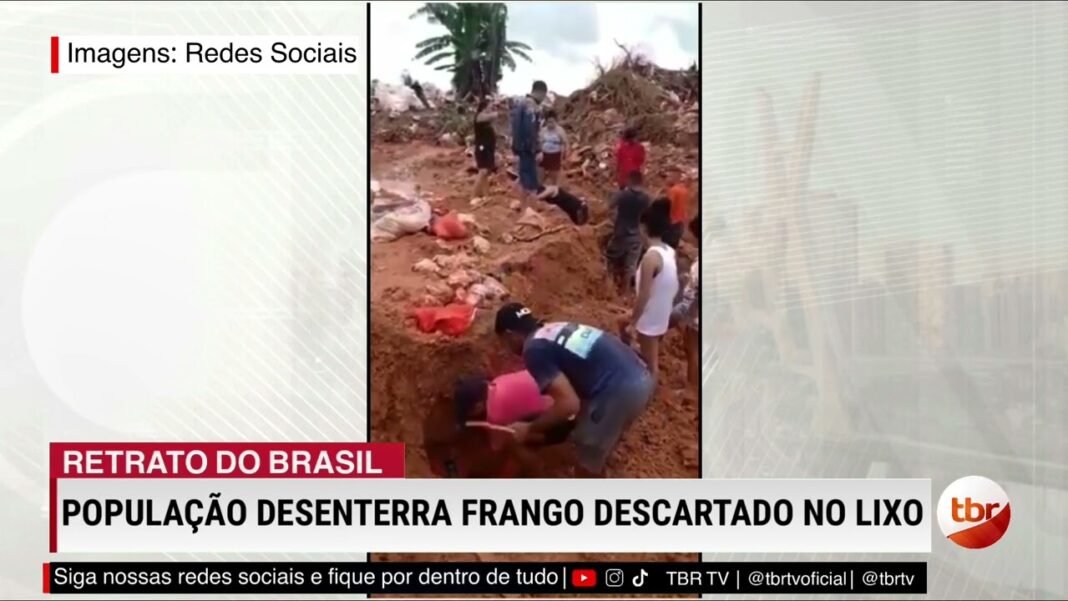 População invade lixão para desenterrar frango impróprio para o consumo, confira vídeo