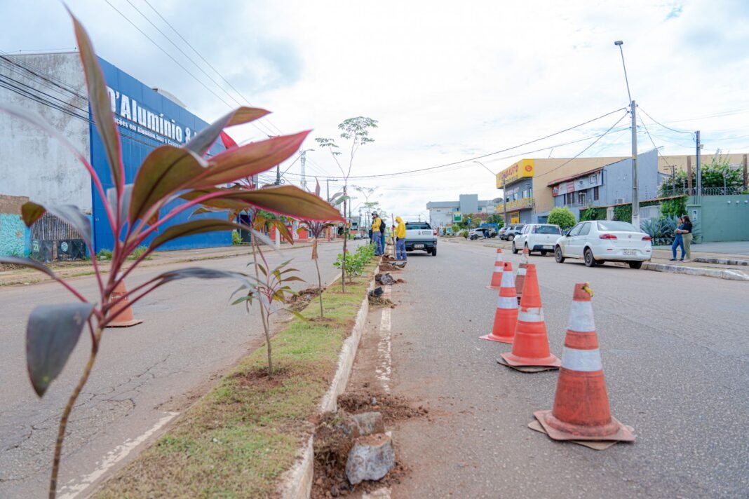 Programa Arboriza Porto Velho chega à av. José Vieira Caúla