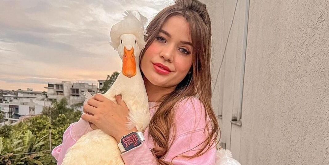 Caso Patolino: Polícia analisa imagens de câmeras e ouve pessoas que trabalhavam em condomínio onde pato desapareceu