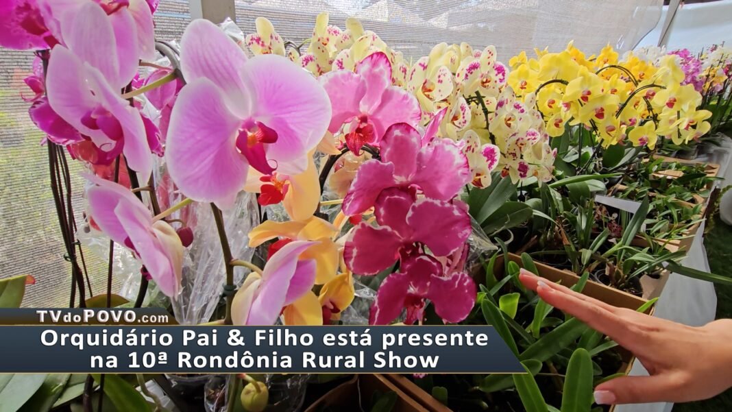 Vídeo: Orquidário Pai & Filho está presente na 10ª Rondônia Rural Show