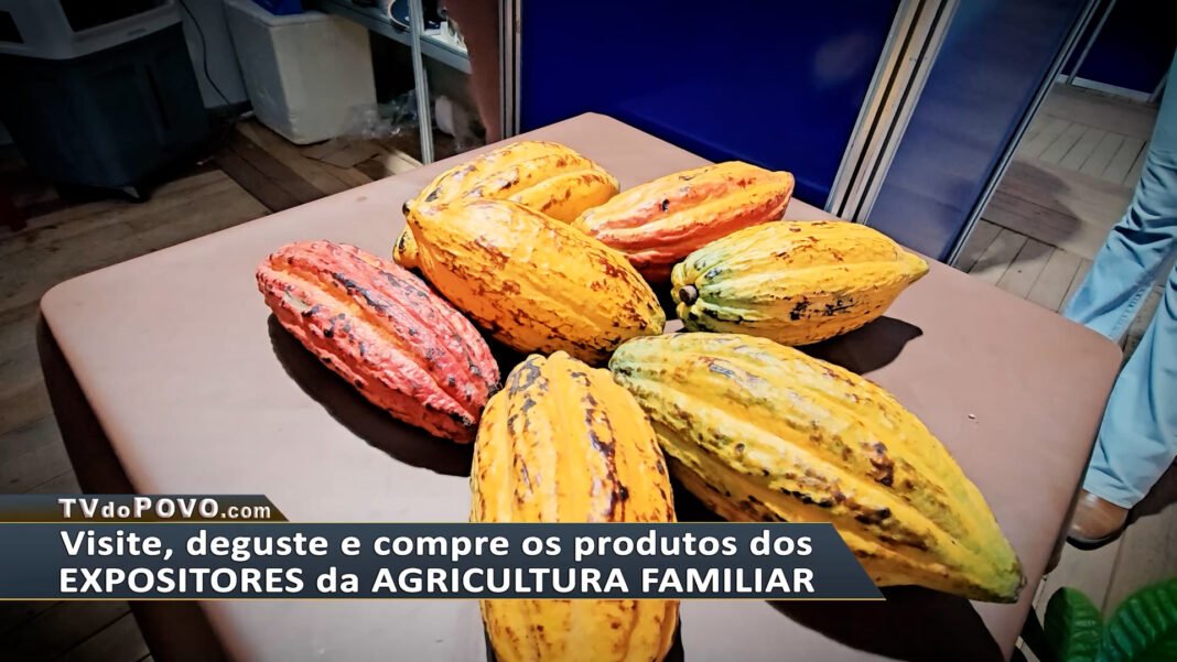 Mulheres Empoderadas: CacauTex Chocolates Artesanais na 10ª Rondônia Rural Show