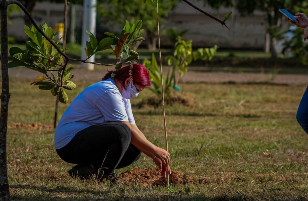 Educação Ambiental Itinerante é o tema da Semana do Meio Ambiente deste ano