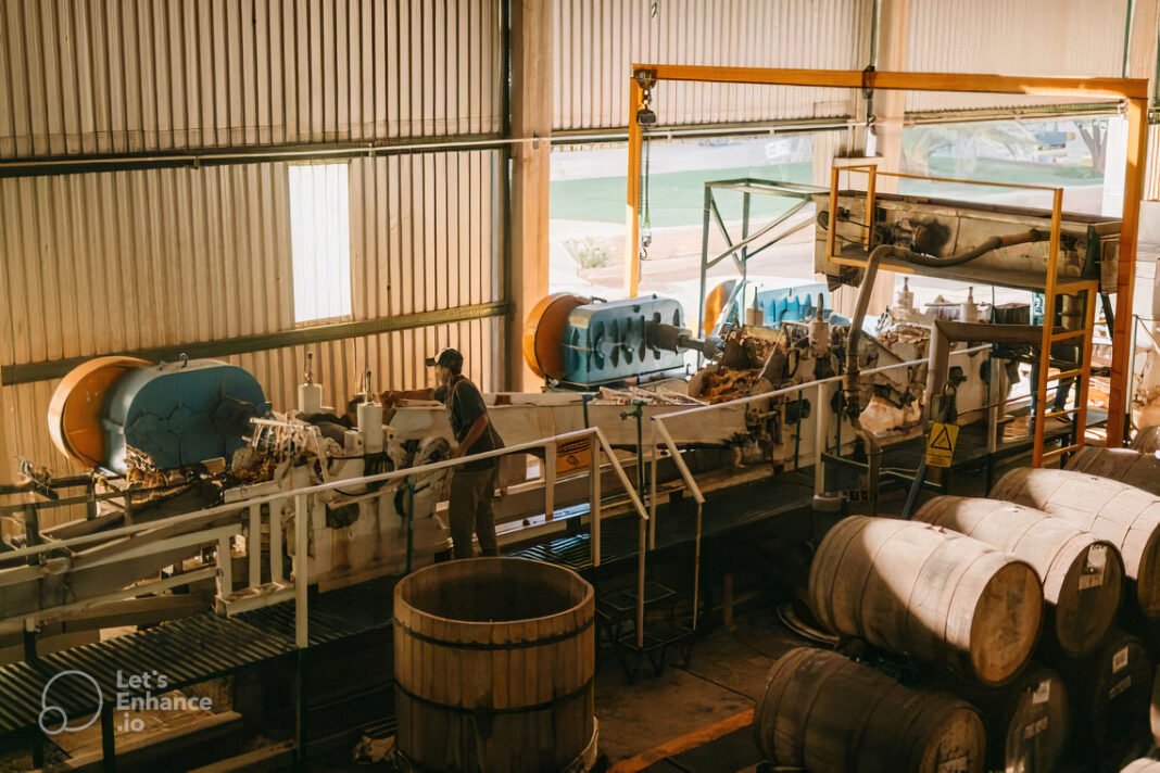 Boletim do Mercado de Trabalho em Rondônia está disponível no Portal do Observatório