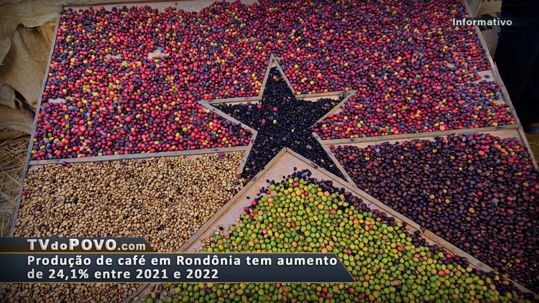 Vídeo: Em um ano, produção de café aumenta 24,1% em Rondônia, revela IBGE