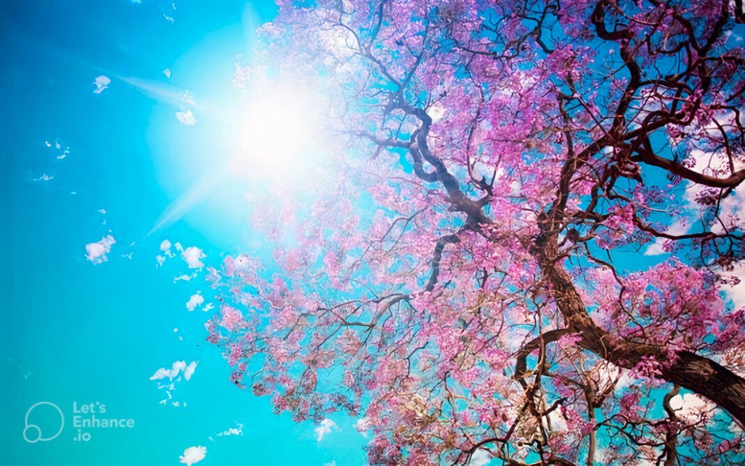 Primavera começa e terá temperaturas acima da média; veja a previsão