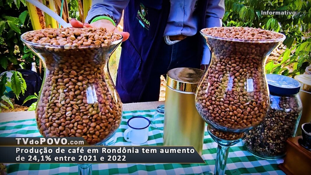 Vídeo: Em um ano, produção de café aumenta 24,1% em Rondônia, revela IBGE