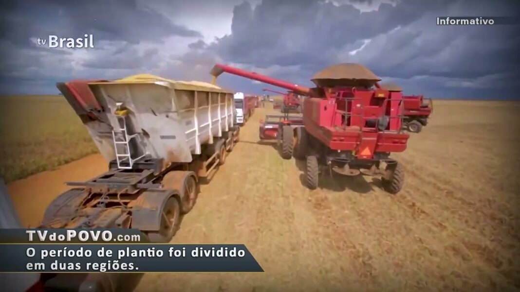 Vídeo: Idaron alerta que período de semeadura da soja no Estado inicia nesta segunda-feira