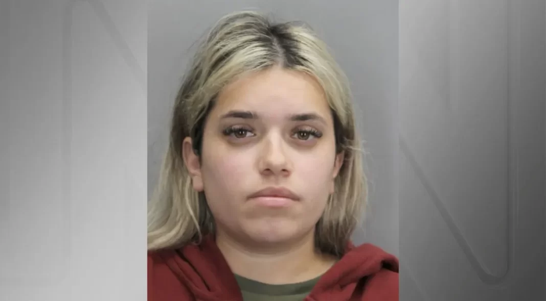 Babá brasileira é presa nos EUA acusada de matar homem a tiros