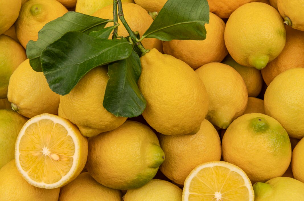 Fruta eleita a mais saudável do mundo previne pedra nos rins
