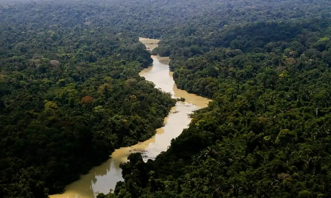 Restauração na Amazônia com famílias do Tapajós cultivando mudas e sistemas agroflorestais