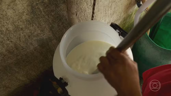 Queijo Minas Artesanal reconhecido como Patrimônio Imaterial da Humanidade pela Unesco