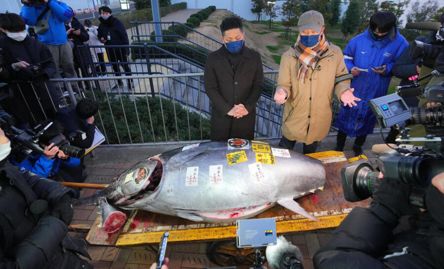 Atum de 276 kg é leiloado por US$ 1,3 milhão em Tóquio durante o leilão de Ano Novo em Toyosu. Tradição atrai destaque e recordes.