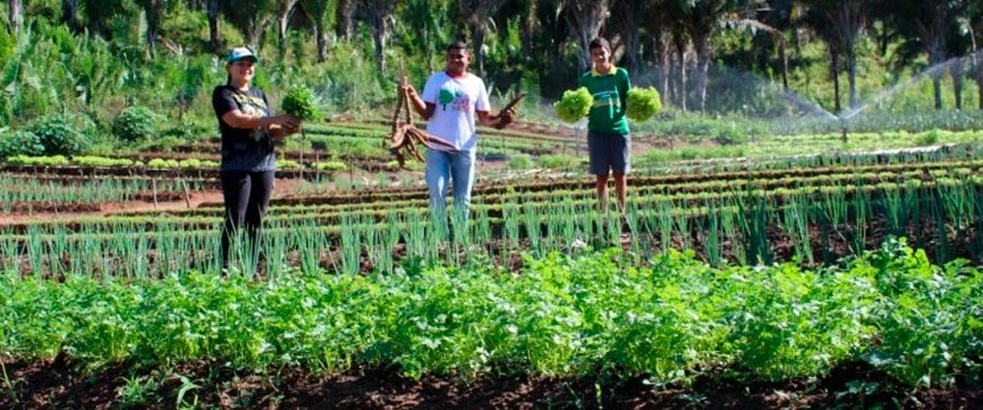 Agricultura ganha força! Crédito Fundiário ajusta limite e facilita aquisição de imóveis rurais com financiamento acessível.