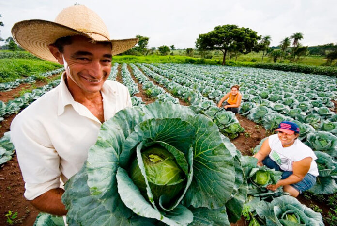 O Programa de Crédito Fundiário agora permite financiar imóveis rurais até R$ 293,5 mil, facilitando o acesso à terra para agricultores familiares.