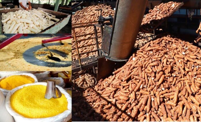 Cruzeiro-do-Sul-Capital-Nacional-da-Farinha-de-Mandioca-TVdoPOVO Cruzeiro do Sul, no Acre, é oficialmente reconhecida como a Capital Nacional da Farinha de Mandioca, destacando-se pela produção artesanal e qualidade do produto.