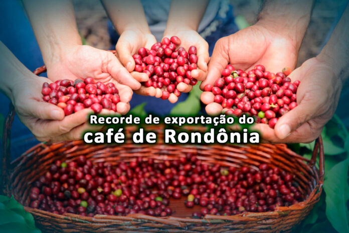 O café rondoniense ganha destaque global, com mais de 35 mil toneladas exportadas.