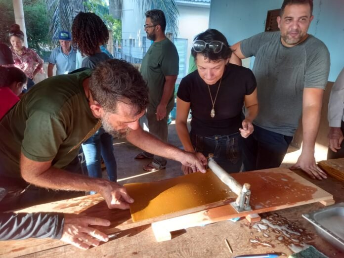 A oficina busca ainda valorizar a atividade apícola, promovendo mais autonomia aos produtores locais e fortalecendo o setor rural no município. Reduza perdas e custos no beneficiamento da cera apícola. Inscreva-se na oficina promovida pela Semagric em Porto Velho.