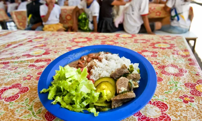 Alimentação escolar será mais nutritiva em 2025. PNAE reduz ultraprocessados e incentiva produtos locais para melhorar a saúde dos alunos.