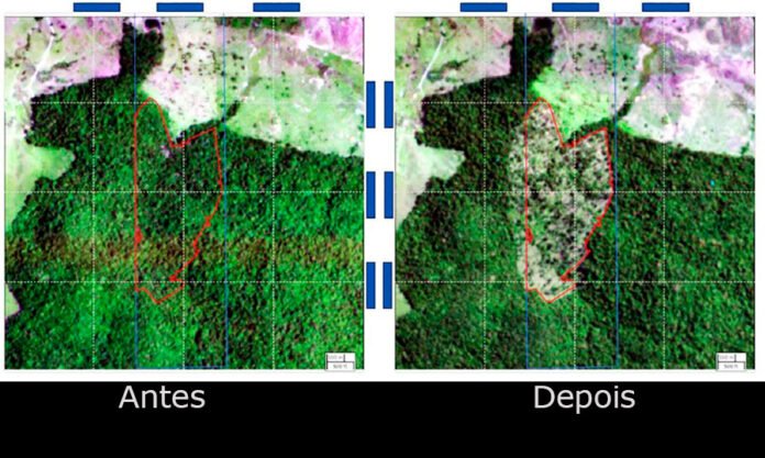 BNDES-utiliza-MapBiomas-para-barrar-crédito-rural-de-proprietários-ilegais BNDES utiliza MapBiomas para barrar crédito rural de proprietários ilegais