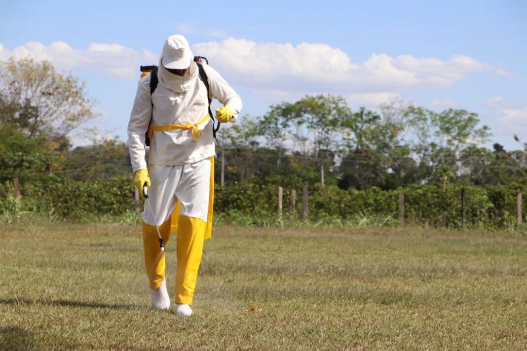 Uso de Agrotóxicos: Regulamentação Traz Mais Segurança e Controle