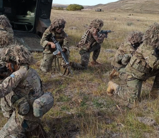 Governo Milei prepara envio de militares à fronteira com o Brasil Militares reforçarão fronteira do Brasil com Argentina e Bolívia