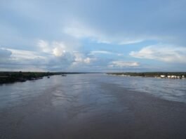 Rio Madeira em tendência de baixa: nível se aproxima dos 16 metros em Porto Velho Comunidades ribeirinhas sofrem com a baixa no nível do Rio Madeira
