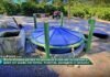 Vídeo – Casa Sustentável apresenta biodigestor de baixo custo na Rondônia Rural Show 2025 Sistema sustentável evita fumaça, economiza gás e preserva o meio ambiente