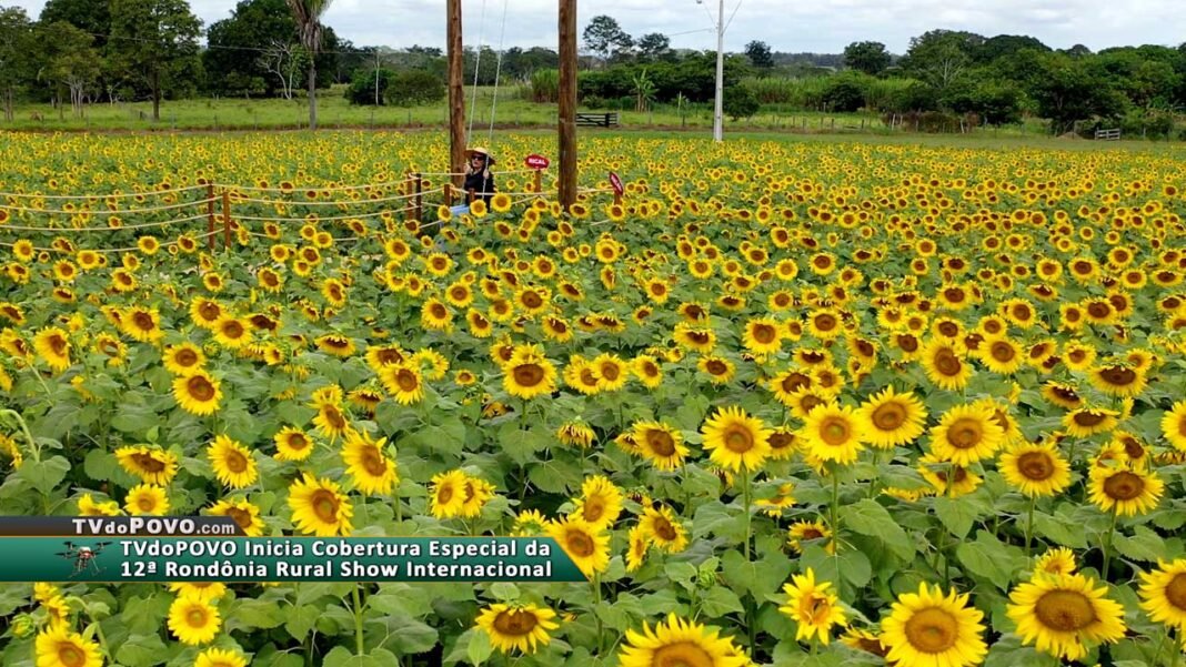 Inicia a Rondônia Rural Show 2025 com cobertura especial da TVdoPOVO