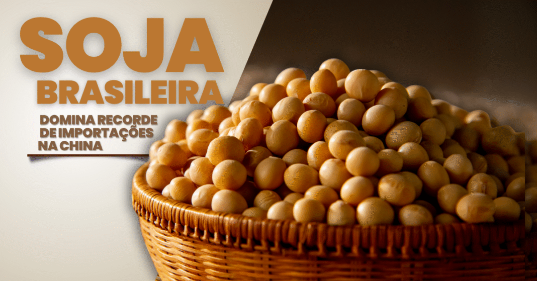 Importações de soja pela China e fortalecimento do Brasil
